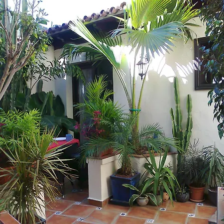 Mit Kleiner Innenhof-terrasse Im Rustikalen Stil アパート *