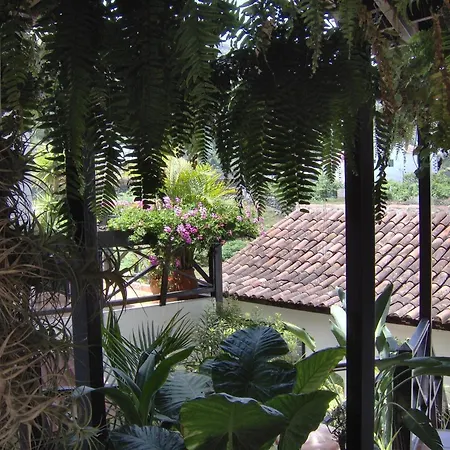 Mit Kleiner Innenhof-terrasse Im Rustikalen Stil イコー・デ・ロス・ビノス