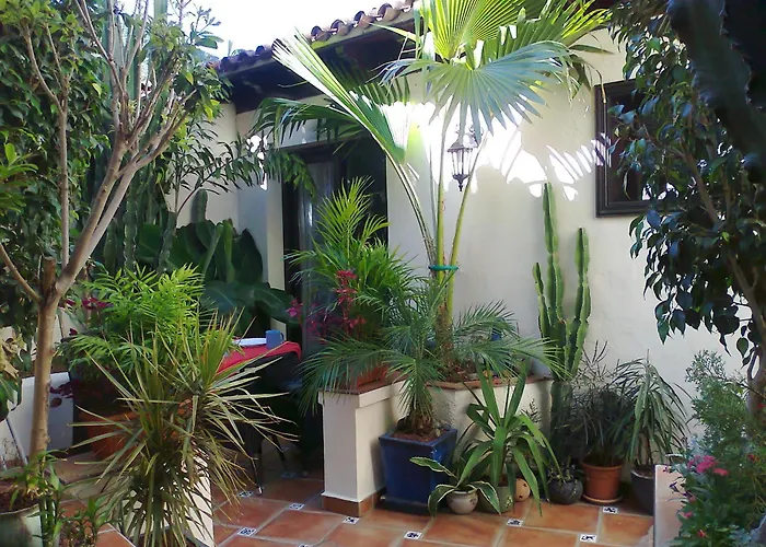 Mit Kleiner Innenhof-terrasse Im Rustikalen Stil アパート *