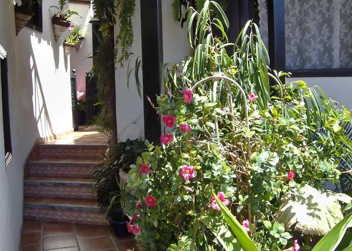 Mit Kleiner Innenhof-terrasse Im Rustikalen Stil アパート