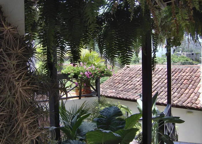 Mit Kleiner Innenhof-terrasse Im Rustikalen Stil イコー・デ・ロス・ビノス