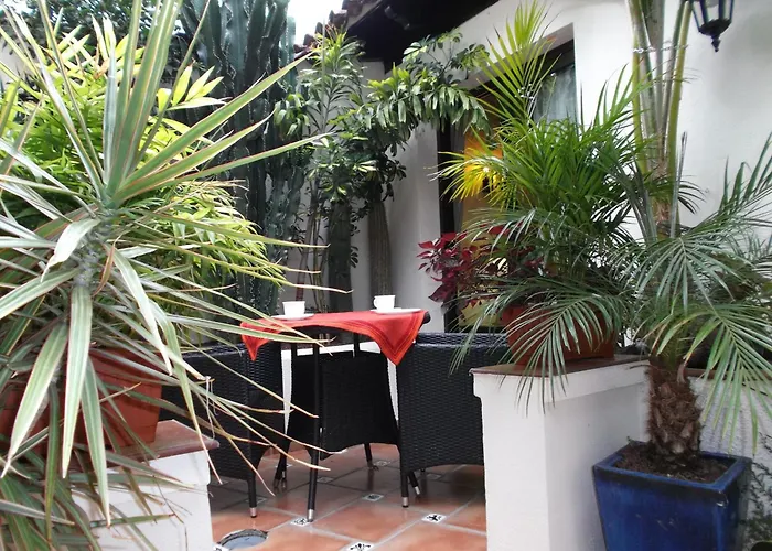 Mit Kleiner Innenhof-terrasse Im Rustikalen Stil 公寓 伊科德·德·洛斯·维诺斯