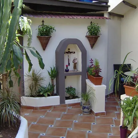 Apartment Mit Kleiner Innenhof-terrasse Im Rustikalen Stil Icod De Los Vinos