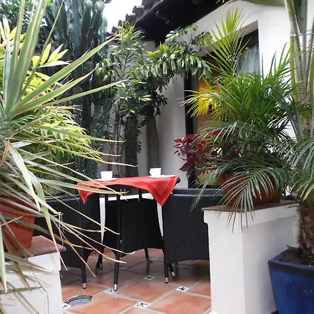 Mit Kleiner Innenhof-terrasse Im Rustikalen Stil Apartamento Icod De Los Vinos