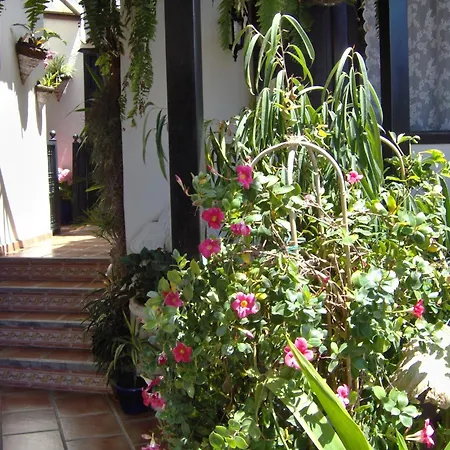 Mit Kleiner Innenhof-terrasse Im Rustikalen Stil Apartamento