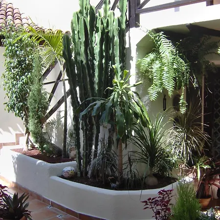 Apartamento Mit Kleiner Innenhof-terrasse Im Rustikalen Stil